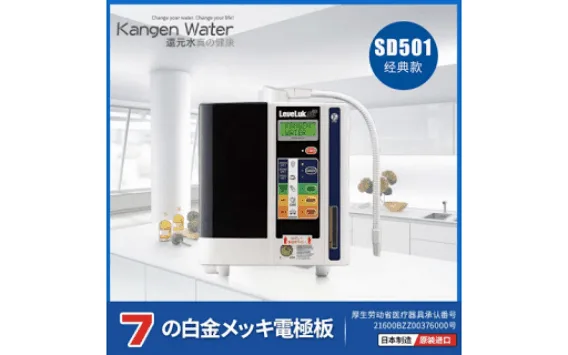 經典之作SD501